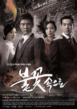 互联网seo优化资费